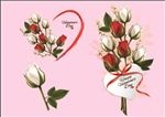 玫瑰花