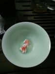 陶瓷小金鱼