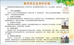 春季养生宜养肝护眼