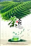 茶叶海报