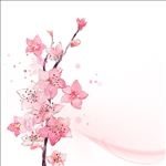 水彩粉色的花