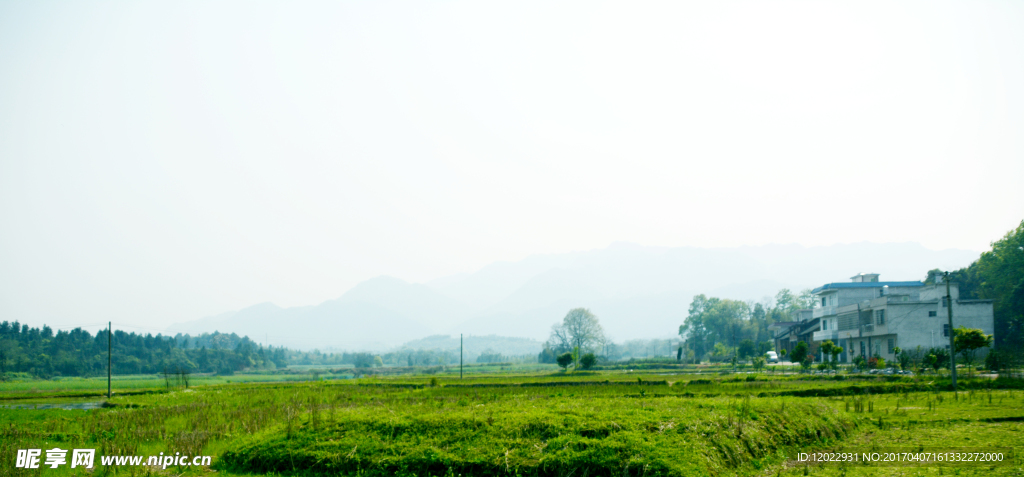 绿色田野全景