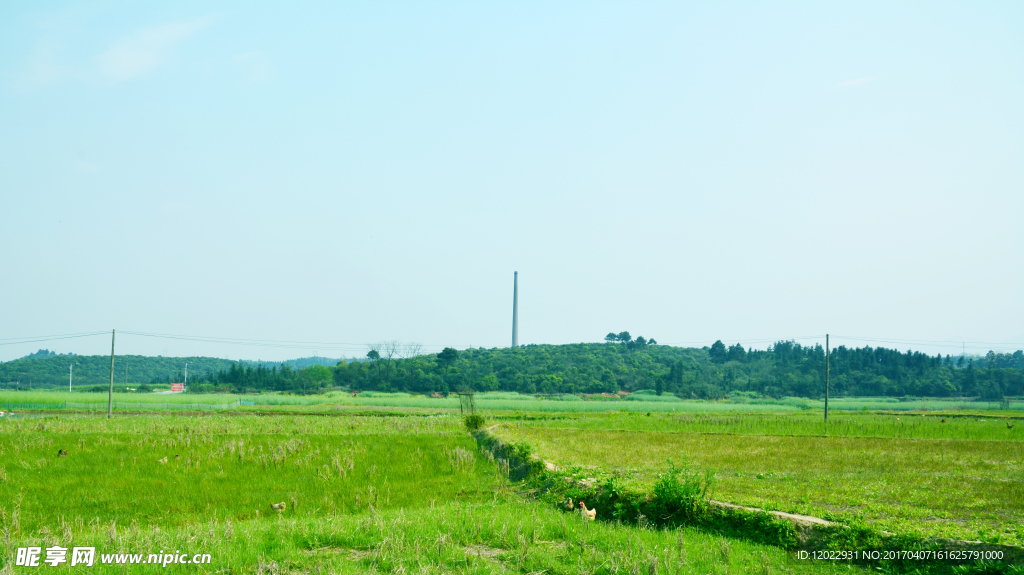 农村田野风光