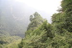 武当山飞升岩