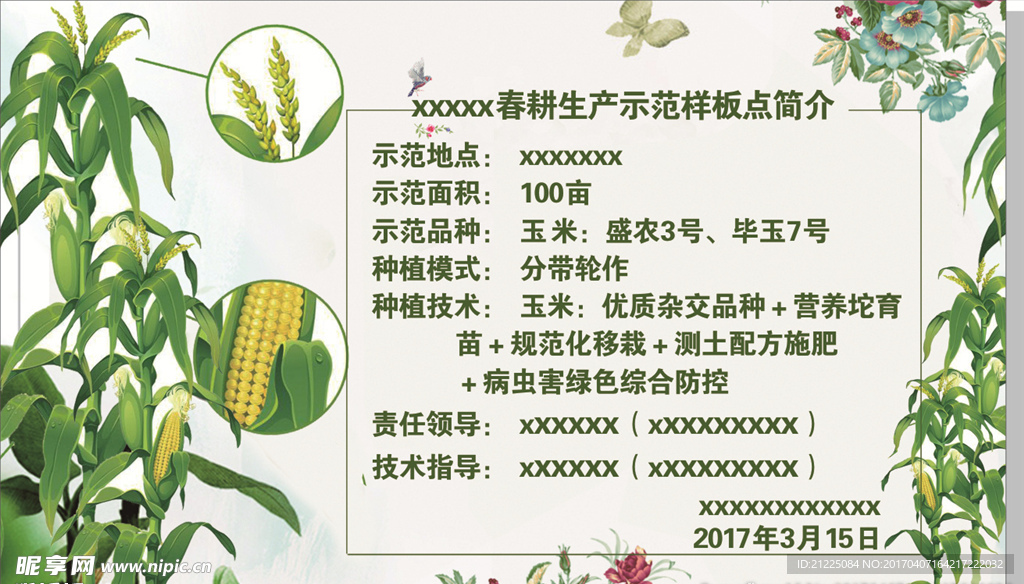 玉米展板
