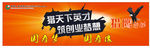中国人寿