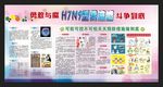 禽流感展板