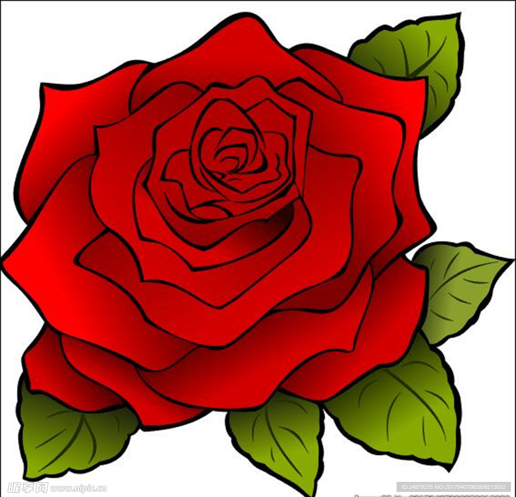 玫瑰花矢量图