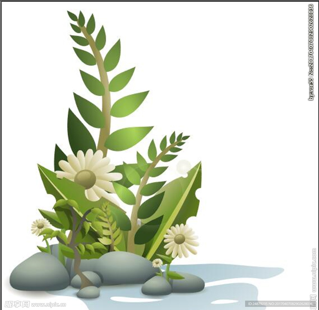 植物花朵矢量图
