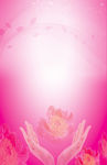 粉色玫瑰花化妆品彩页海报背景