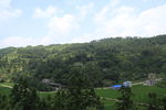 青山绿水