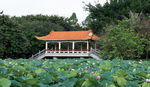 深圳洪湖公园