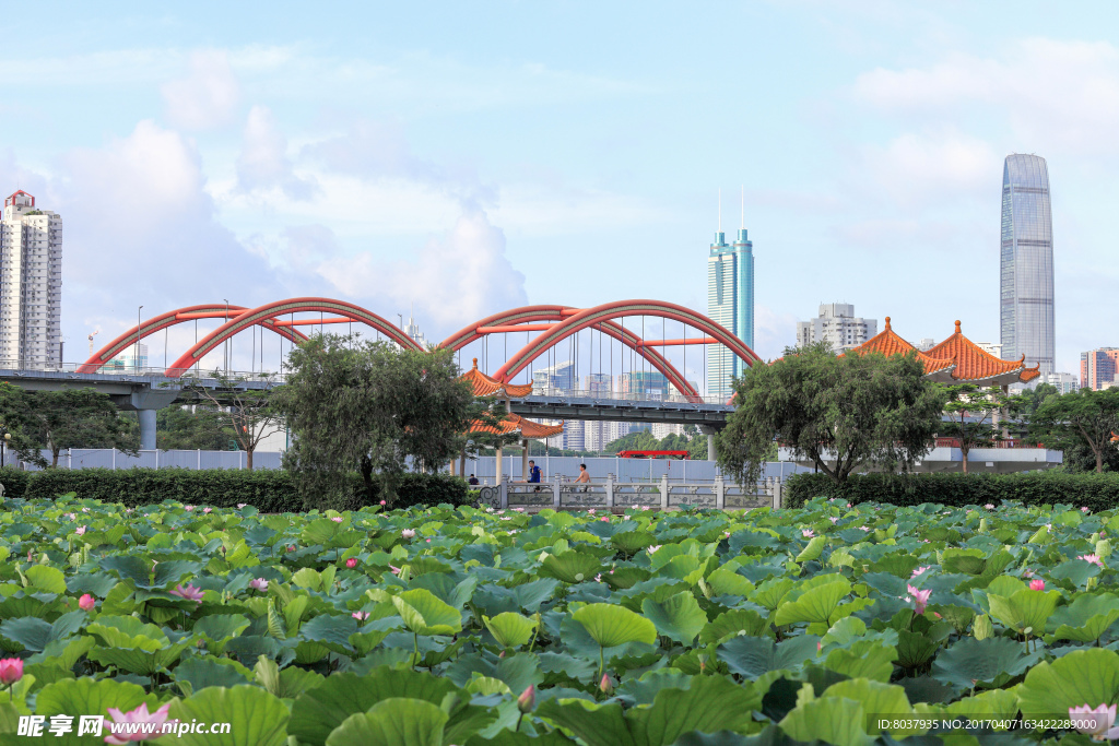 深圳洪湖公园