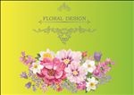 素雅花卉