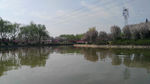 湖光风景