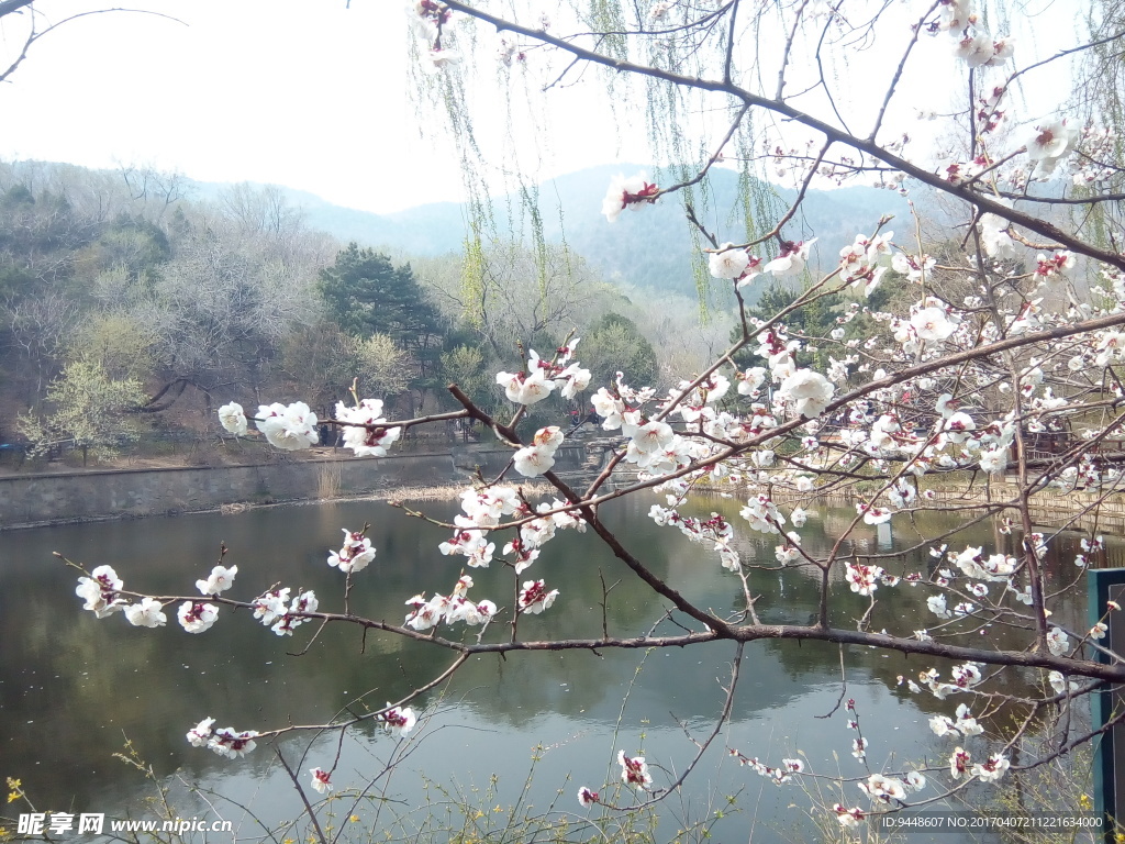 春天风景图