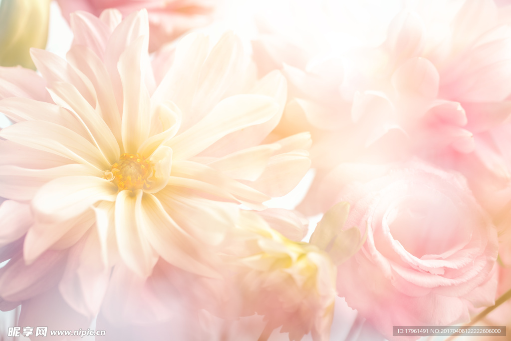桃花