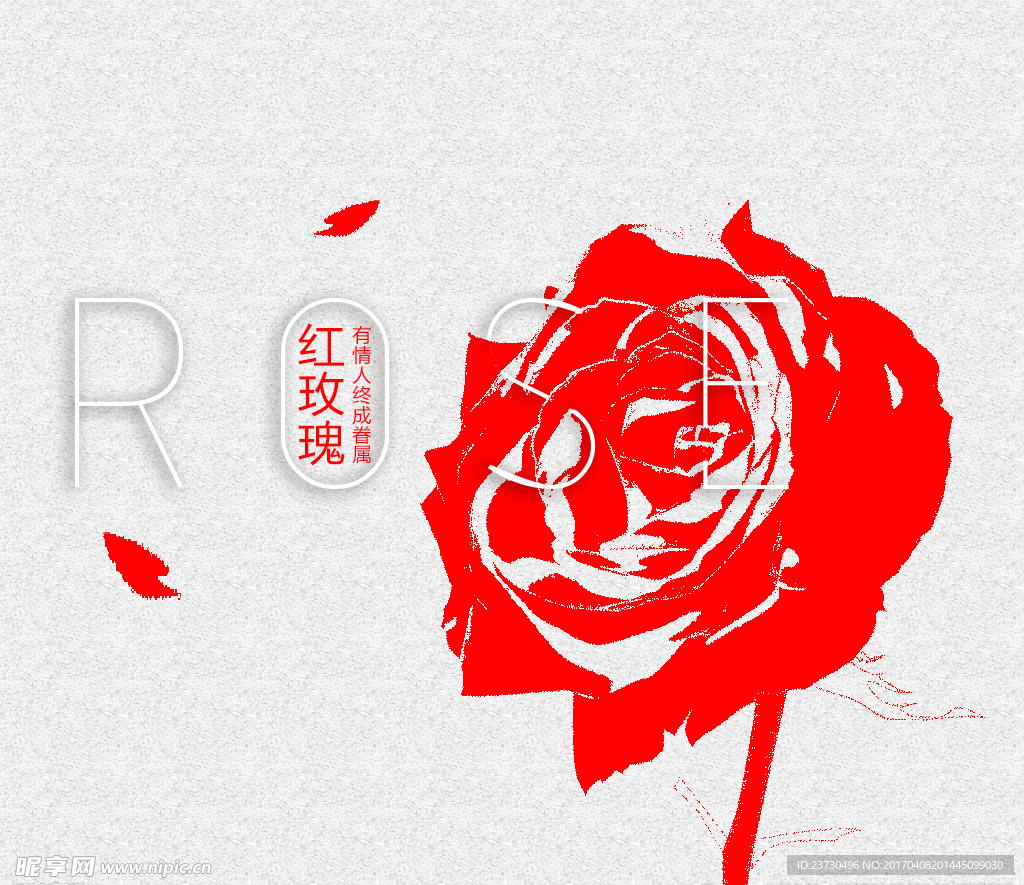 玫瑰