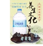 巴马活泉