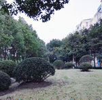 交通大学 数木