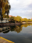 交通大学 湖泊 天空 数木