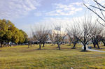 交通大学 秋冬