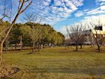 交通大学 蓝天白云