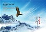 企业简介
