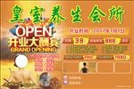 美容养生会所开业海报