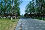 园林大道