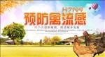 禽流感海报