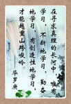 华罗庚名言