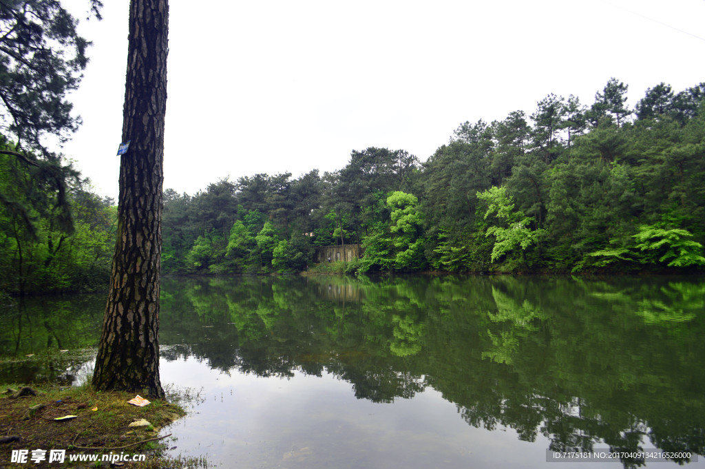湖面