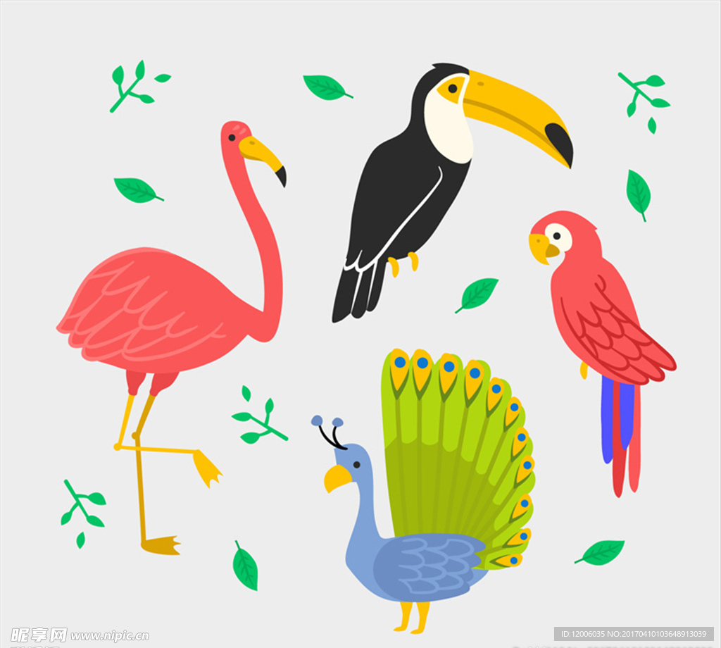 4款彩色鸟类设计矢量素材