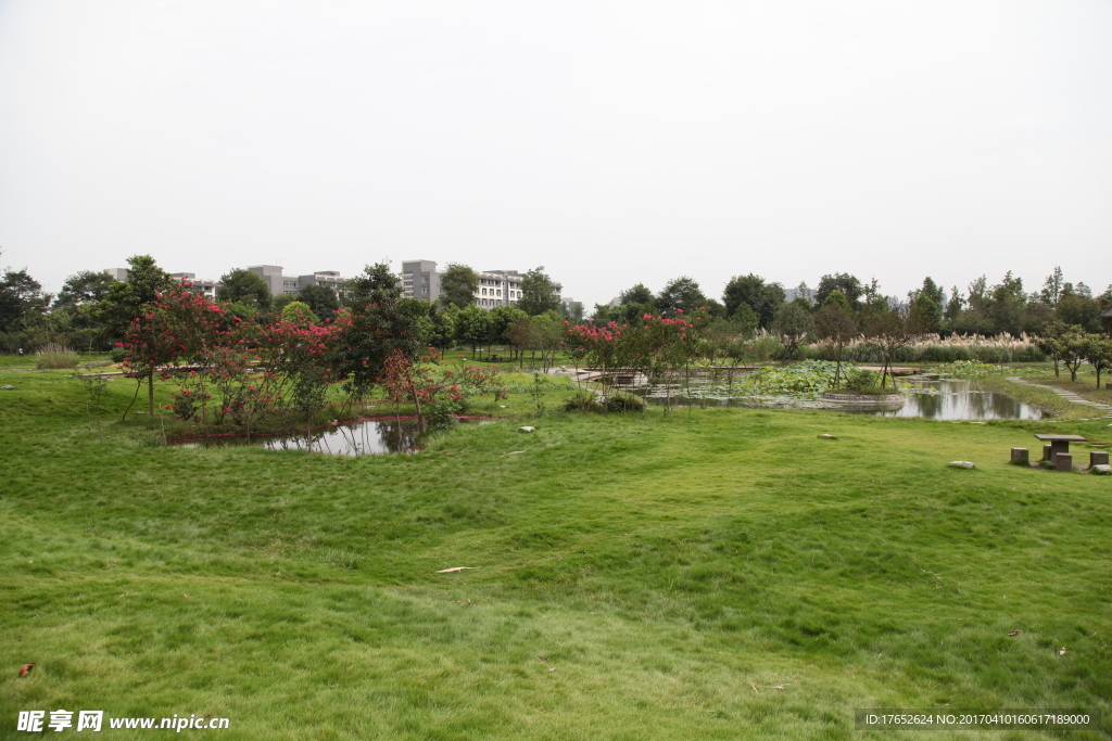 成都中医药大学