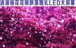 高清浪漫樱花树花瓣飞舞背景视