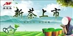 新茶上市