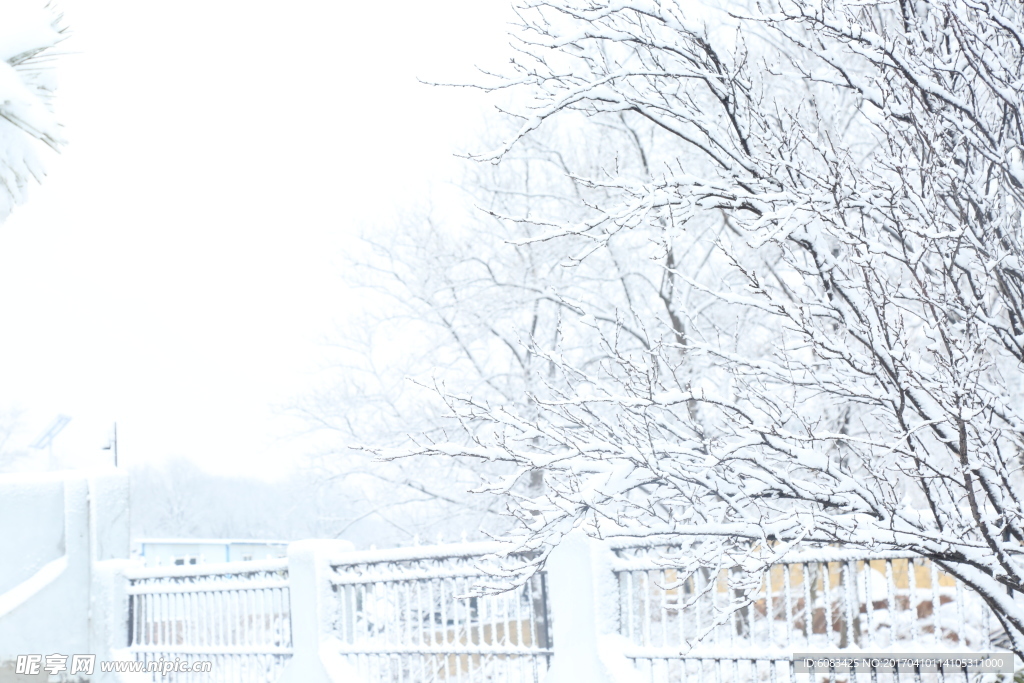 雪景