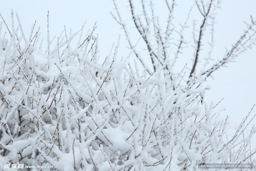 雪景