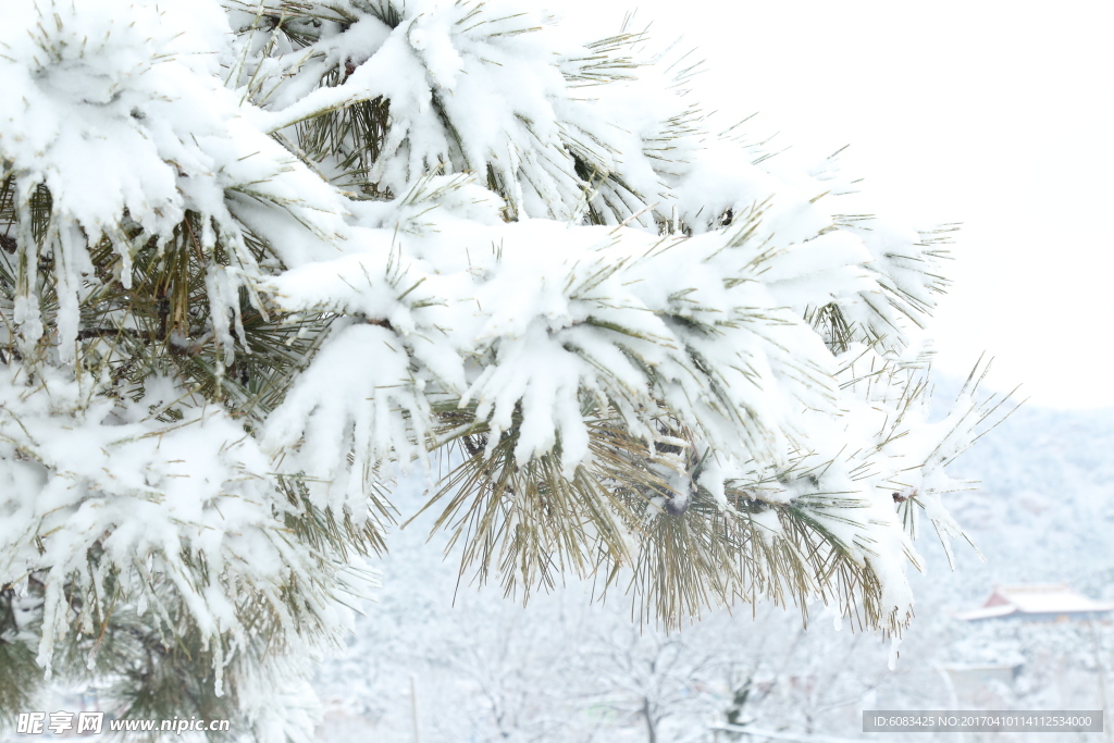 雪景