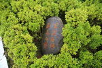 学高为师