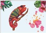 水彩画 热带动物  热带鹦鹉