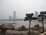 海棠码头