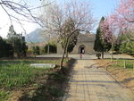太室阙景区春景