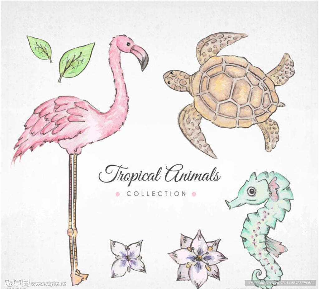 3款彩绘热带动物矢量素材