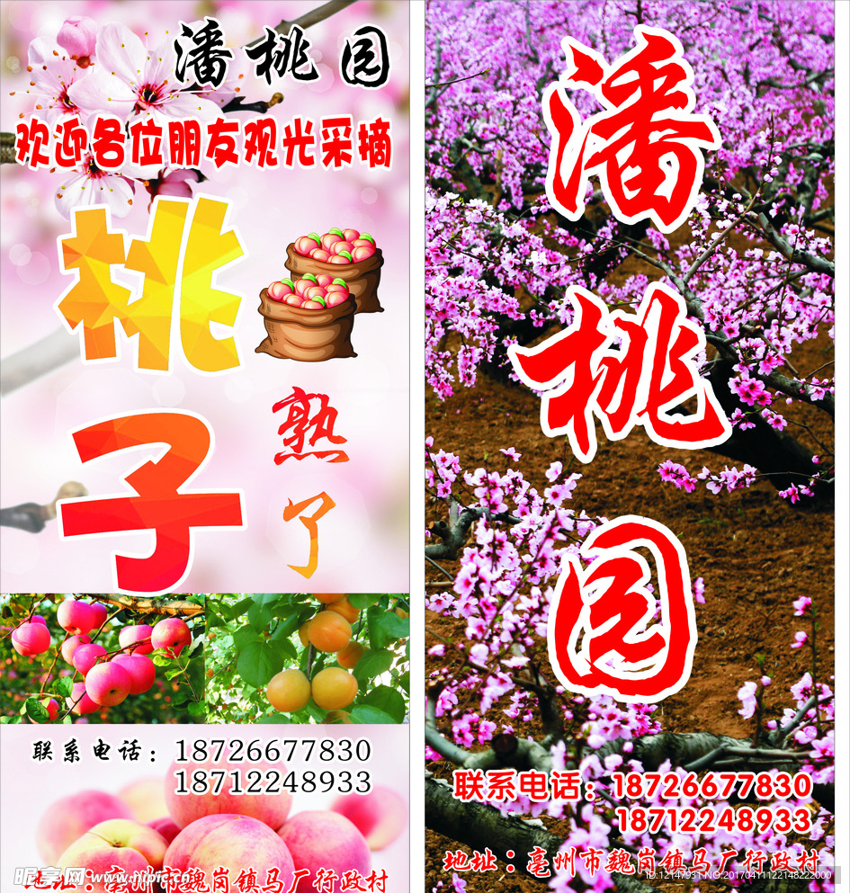 桃子