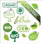 生物 生态 有机 图标