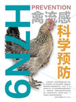 预防禽流感