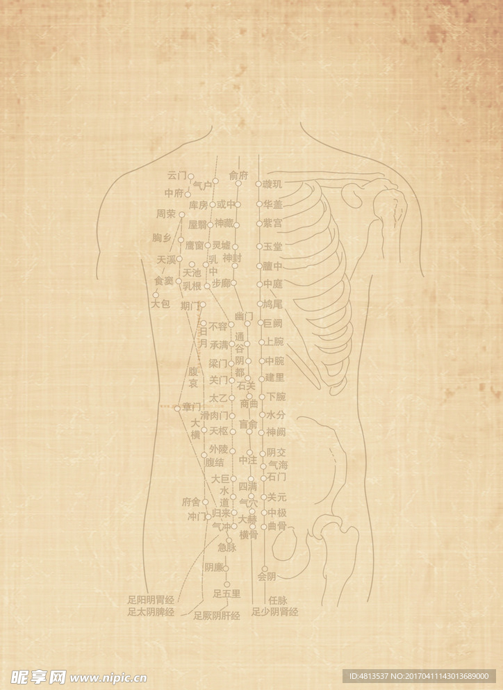 中医血脉穴位分布图