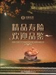 精品寿险